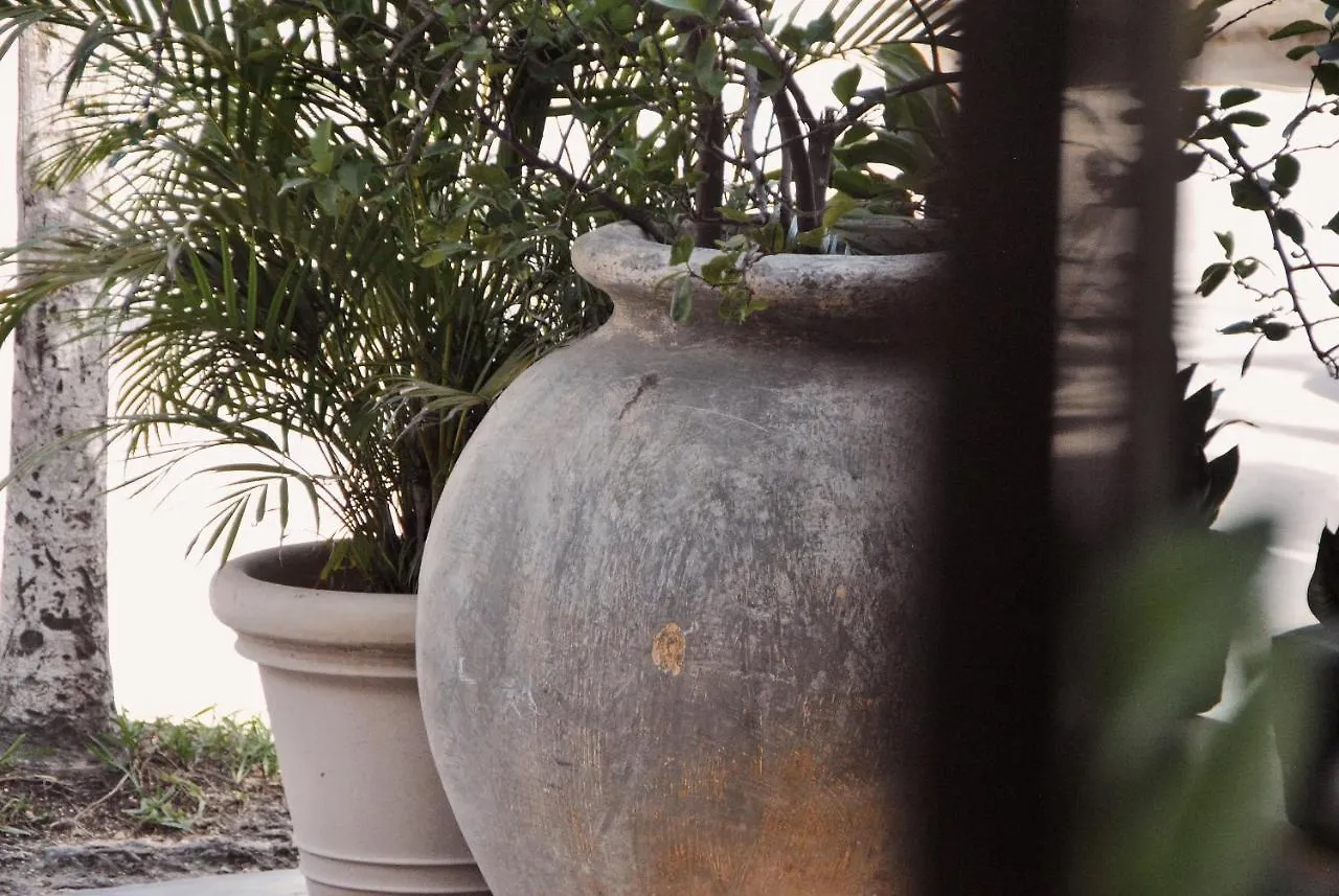 Boutique Hotel Posada 06 Tulum (Adults Only)